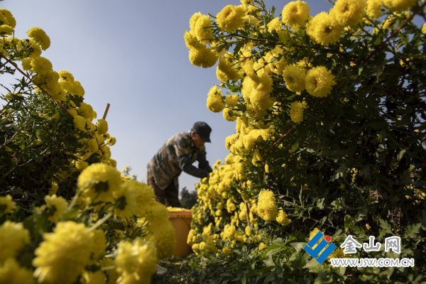 downLoad-20251114013933