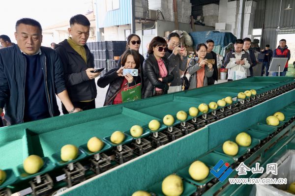 downLoad-20251115070029