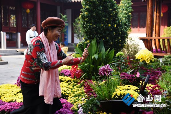 downLoad-20251116064917