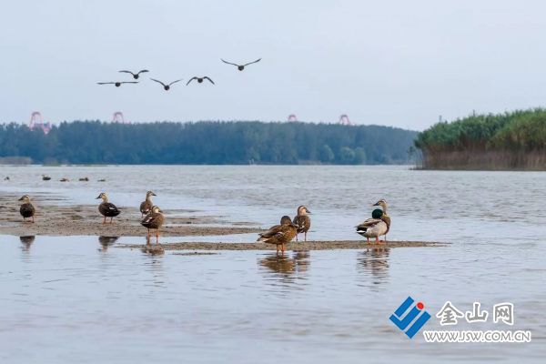 downLoad-20251118070042