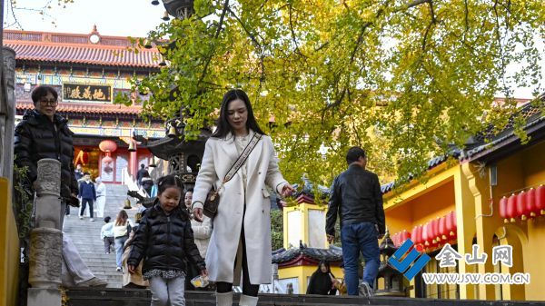 downLoad-20251120064842