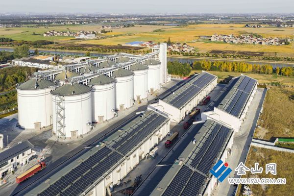 downLoad-20251120070234