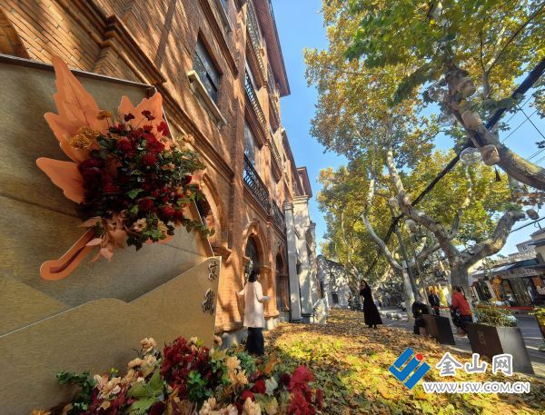 downLoad-20251122061216