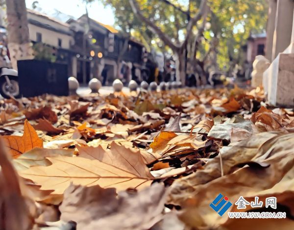 downLoad-20251124071110