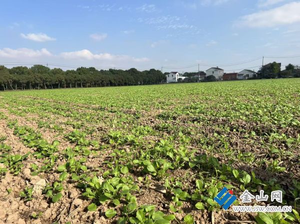 01115bc8fc633ef509e522eda6acf77408