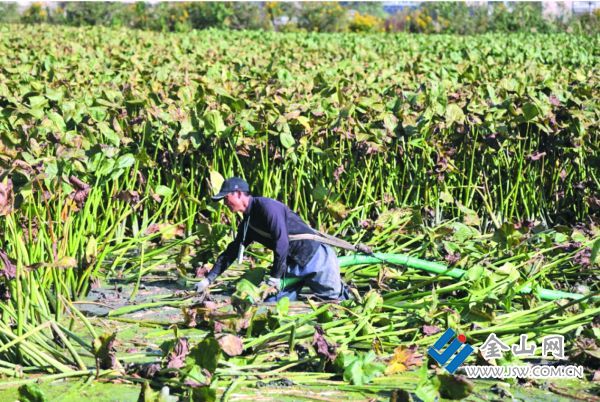 downLoad-20251125070023