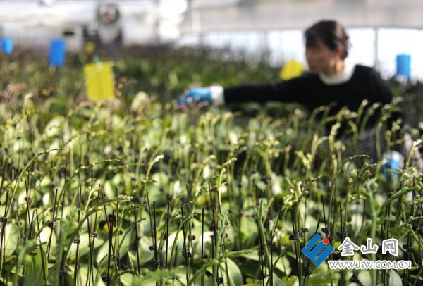 downLoad-20251127063408