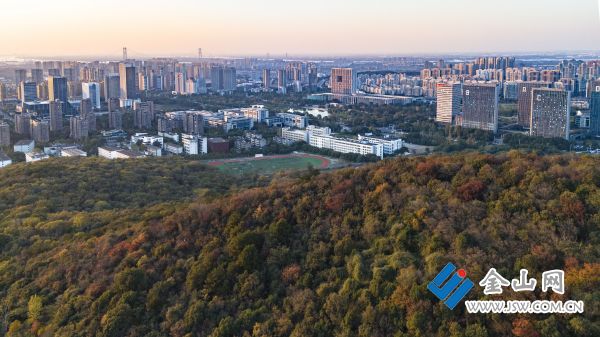 downLoad-20251128034143