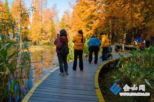 downLoad-20251129070236