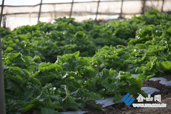 downLoad-20251203070136