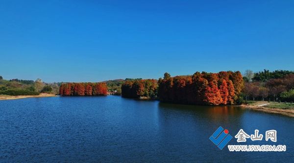 downLoad-20251205070408