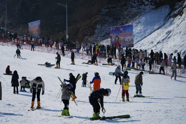 1764855025923812.png image.png