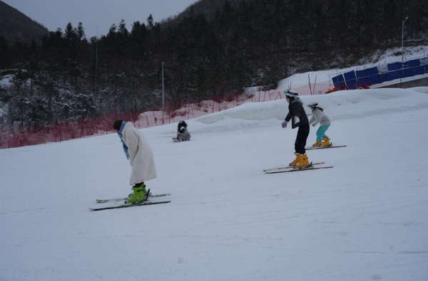 1764855038248710.png image.png