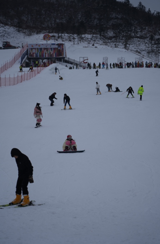 1764855050602527.png image.png