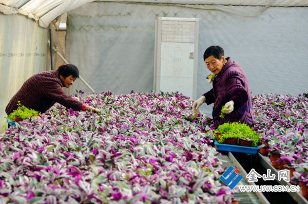 downLoad-20251209062128