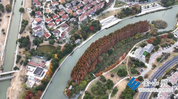 downLoad-20251209075839