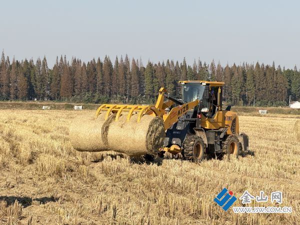 downLoad-20251210034346