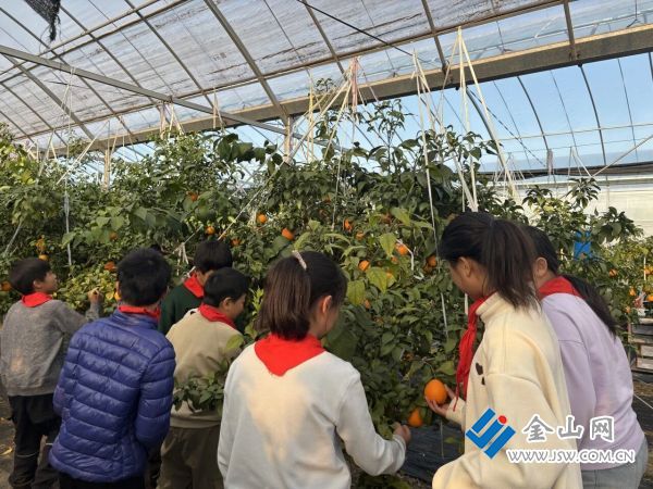 微信圖片_2025-12-13_105817_866