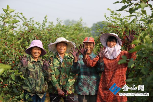 132豐收的喜悅01