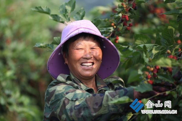 132豐收的喜悅02