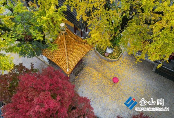 248層林盡染-焦山公園