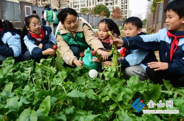 downLoad-20251215034611