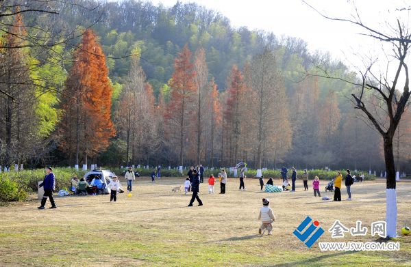 downLoad-20251215043030