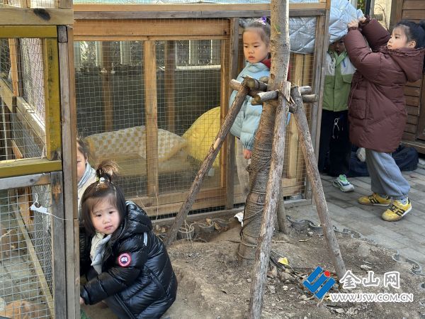 downLoad-20251216054837