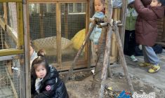 寒冬送暖 童心護(hù)生靈