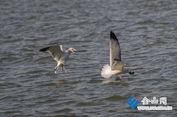 downLoad-20251217070659