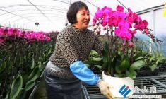 京口攝協(xié)做實(shí)事 助力宣傳新農(nóng)人