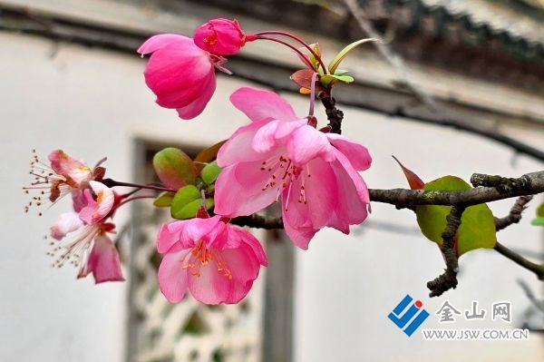 downLoad-20251223070228