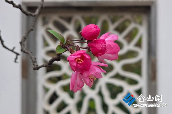 downLoad-20251224071026