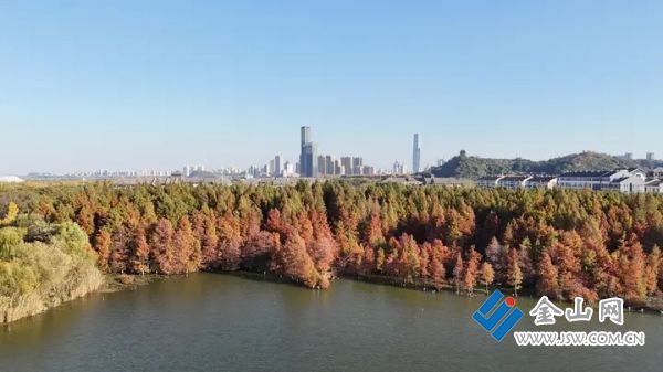 01ec2aacf76fc9c59fdee787a768b8f889.JPG@OzhqcvB0M7h4YSWS9ADprIoLa2otT7P0ZpGdrP0KL_U@rs_fill_720_0@g_sm@q_75@