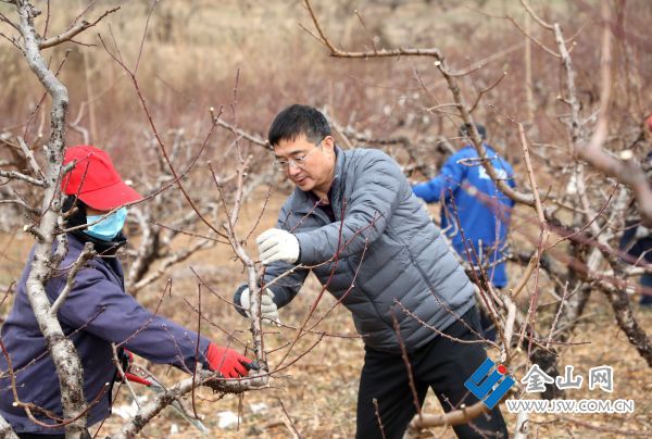 downLoad-20251225070539