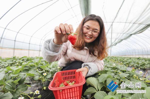 downLoad-20251226015148