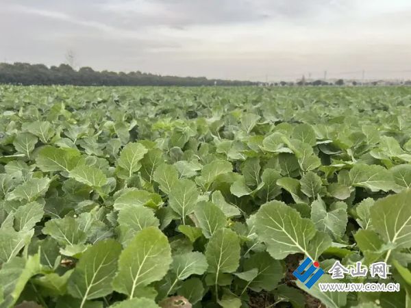 01e83392d1a1335966cfb944483a2acc31.jpg@mFBZXrAmklSnqyKI83waAG4iG7NEjc9y2syI9tUA52I@rs_fill_720_0@g_sm@q_75@