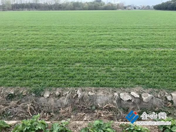 01f972028535dd367bb23b073ad774b185.jpg@XErGpUA6KuEMFepwC_C0ynNF8t4rjd38hioPHj1HBBw@rs_fill_720_0@g_sm@q_75@ (1)