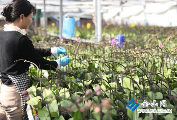 downLoad-20251229073054