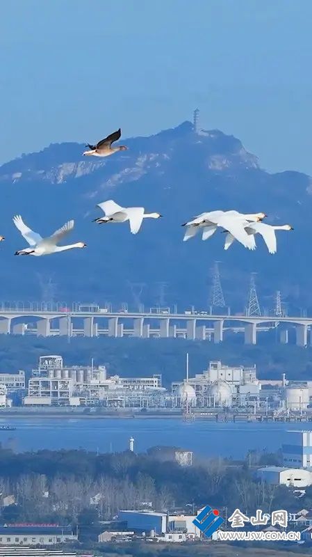 01212a64c0ced4ccd41eece0d774e20290.jpg@OVX6WCUDrHl1djaxnKva525d4SIi-OaCyFp91BCHB60@rs_fill_720_0@g_sm@q_75@