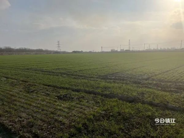 01e846a9d1e78504afdb604cb21b41f8f9.jpg@4sPJxVXbmHXtGRCMVwX31g9EOzLmkpaBRiYPa7YPeiE@rs_fill_720_0@g_sm@q_75@