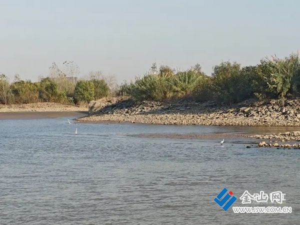 017f8ea009617ed3857dc6b5de808ab680.jpg@ndLeLs-2mcGssgSq8FH9X9GpbMmAQDxBxHoMpLPlC6E@rs_fill_720_0@g_sm@q_75@