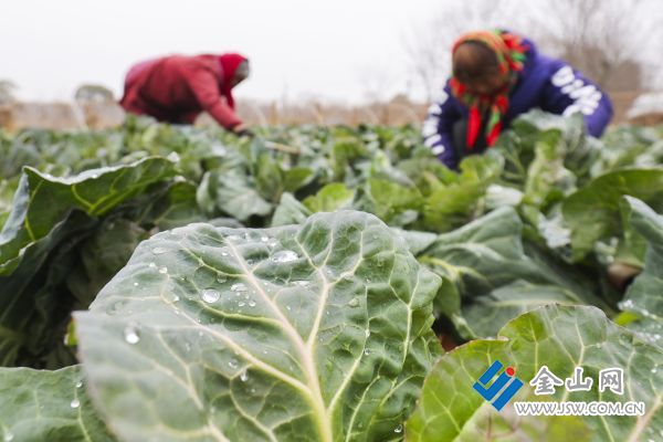 downLoad-20260106071319