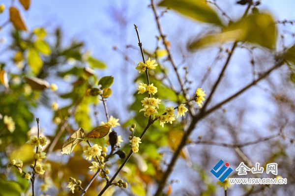 downLoad-20260106071912