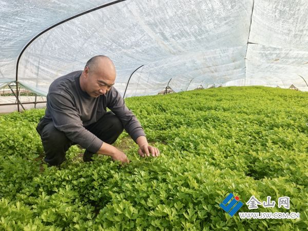 downLoad-20260109044527