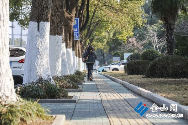 downLoad-20260112070544