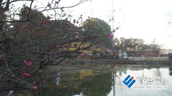 downLoad-20260113051906