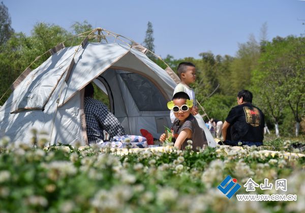 春暖花開(kāi)時(shí)節(jié)，南山西入口蓮花洞景區(qū)帳篷林立，眾多市民在戶外露營(yíng)感受大自然的美好（資料圖）。李斌 王飛斌 攝影報(bào)道