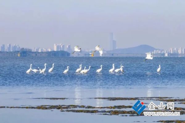 019c5e7986c8ab80405c5707cf9c5d4835.jpg@emQGNnv7Wq2wCtaLgpGCb8VghtxDdIIE_eSFuKEJTgc@rs_fill_720_0@g_sm@q_75@