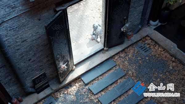 downLoad-20260119065638